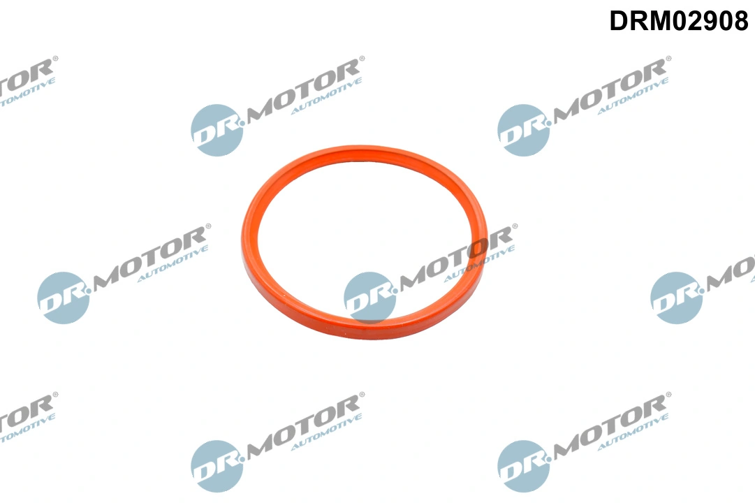 Seal Ring, charger